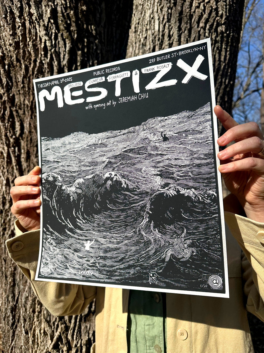 Ibelisse Guardia Ferragutti & Frank Rosaly's MESTIZX - Public Records Poster
