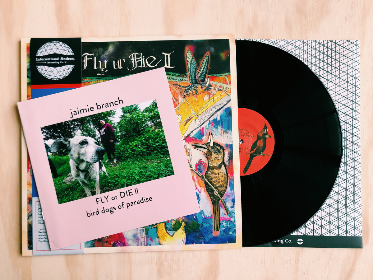 jaimie branch - FLY or DIE II: bird dogs of paradise