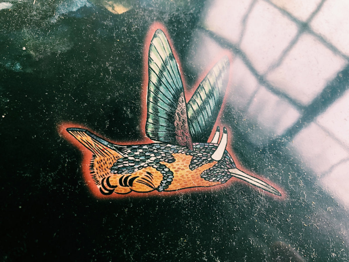 jaimie branch - FLY or DIE II: bird dogs of paradise