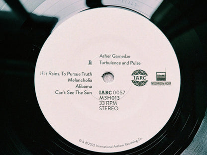 Asher Gamedze - Turbulence and Pulse