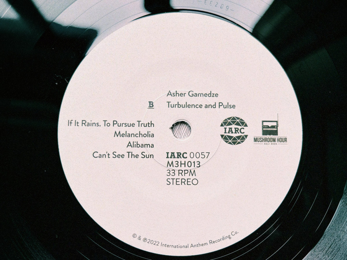 Asher Gamedze - Turbulence and Pulse