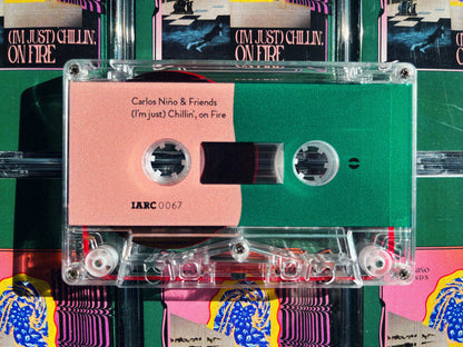Carlos Niño & Friends - (I'm just) Chillin', on Fire