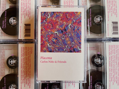 Carlos Niño & Friends - Placenta