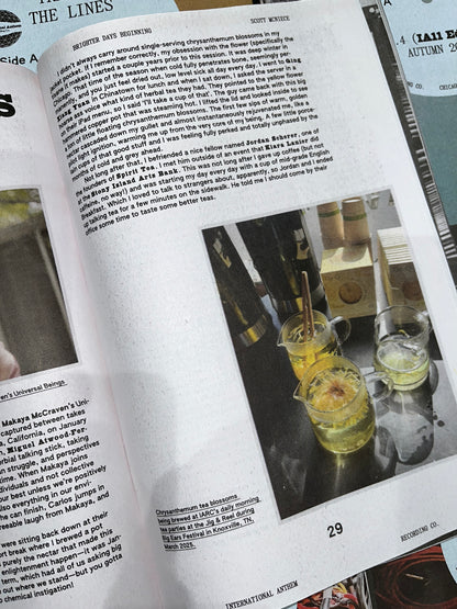 Tracing The Lines - Issue #4