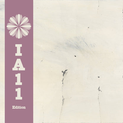 Rob Mazurek - Alternate Moon Cycles (IA11 Edition)