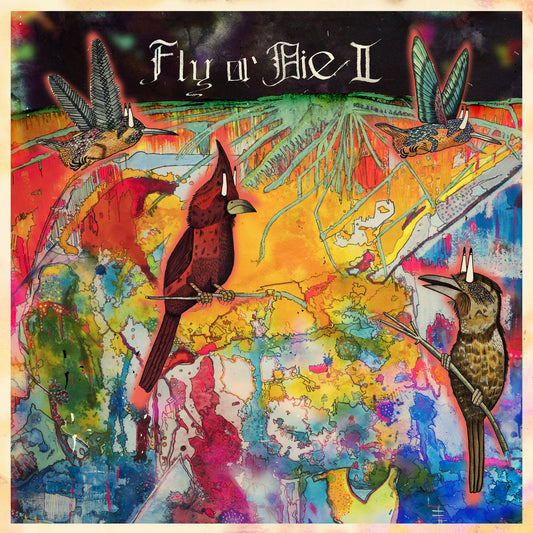 jaimie branch - FLY or DIE II: bird dogs of paradise